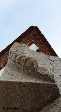 RITA RICO - EXIF: não disponível